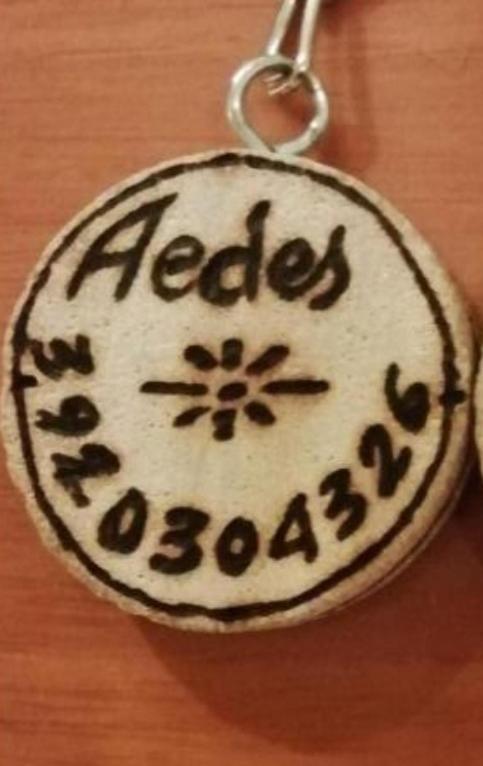 Gruppo Aedes Alghero, Residenza Michelangelo - 500 Mt Dalla Spiaggia Экстерьер фото